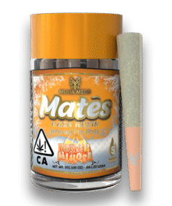 Muha Meds Doses and Mimosas Pre Roll | Sativa