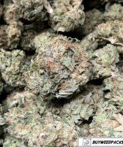 AFGHAN KUSH