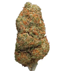 Northern light