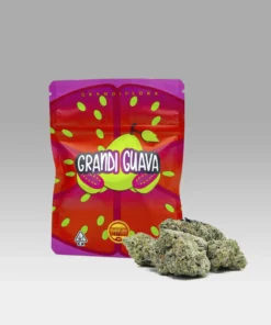 GRANDI GUAVA STRAIN