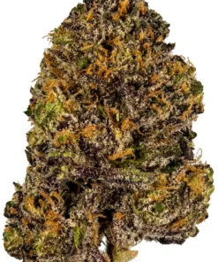 Granddaddy Purple