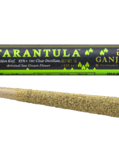 Ganja Gold/Green Tarantula