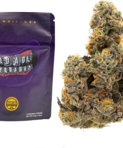 Yadada Strain