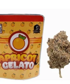 Apricot Gelato Strain | Backpackboyz