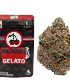 Black Cherry Gelato | Backpackboyz