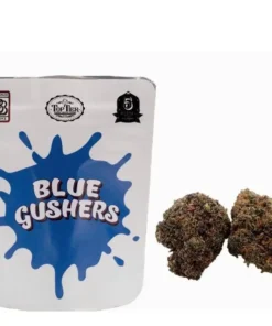 Blue Gushers Strain | Backpackboyz