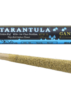 Ganja Gold/Blue Tarantula