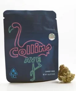 Collins Ave Strain | Cookies