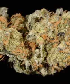 Girl scout cookies
