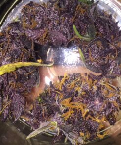 Purple Kush